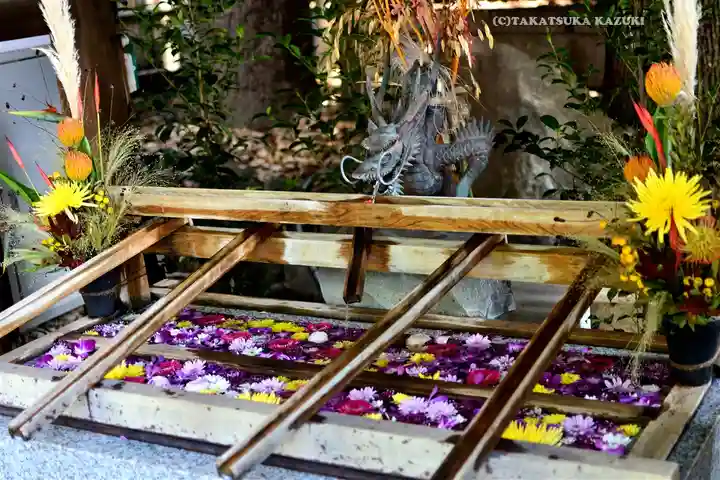 東京大神宮(東京都)