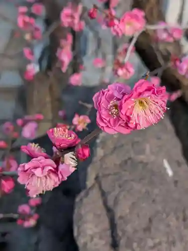 成願寺(東京都)