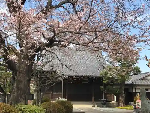 多聞院の本殿・本堂