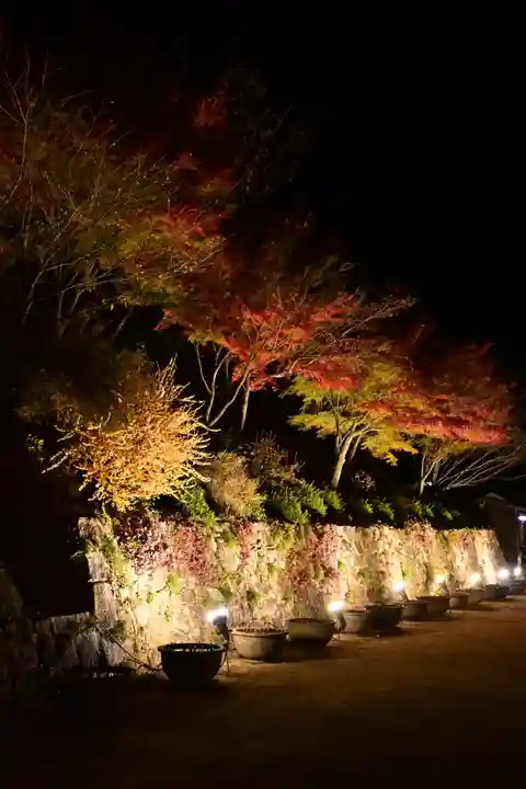 善水寺(滋賀県)