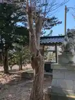 神山稲荷神社の{uncategorized: "未分類", other: "その他", undefined: "問題あり", building: "その他建物", grave: "お墓", sacred_gate: "鳥居", guardian: "狛犬", statue: "像", buddha: "仏像", history: "歴史", nature: "自然", garden: "庭園", animal: "動物", pagoda: "塔", temizu: "手水舎", mountain_gate: "山門・神門", sanctuary: "本殿・本堂", subordinate: "末社・摂社", art: "芸術", scenery: "景色", jizo: "地蔵", ema: "絵馬", goshuin: "御朱印", omikuji: "おみくじ", items: "授与品その他", amulet: "お守り", goshuincho: "御朱印帳", eats: "食事", festival: "お祭り", votive_dance: "神楽", shichigosan: "七五三参", wedding: "結婚式", experience: "体験その他", initially: "初詣", around: "周辺", anti_infection: "感染症対策"}