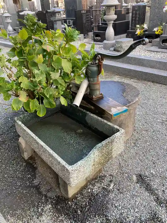 善徳寺の手水舎