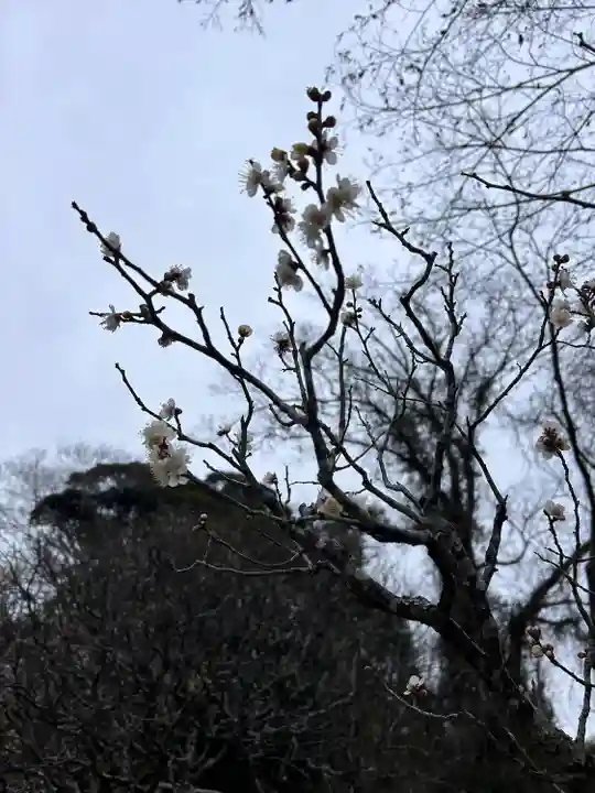 成田山新勝寺(千葉県)