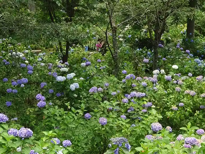 三千院門跡(京都府)