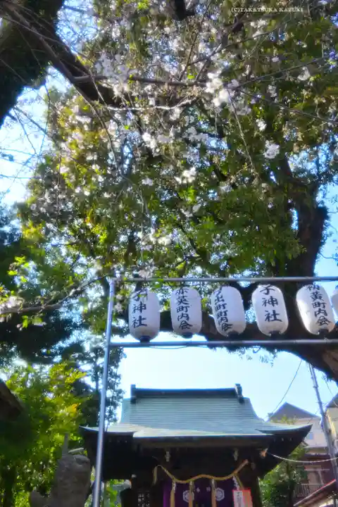 子神社(神奈川県)