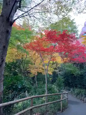 白玉稲荷神社の自然