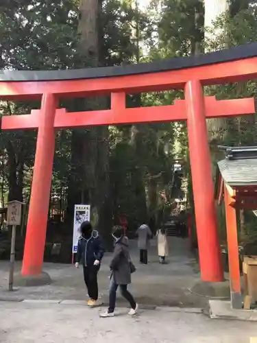 箱根神社の鳥居