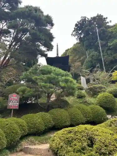 国宝 大法寺(長野県)