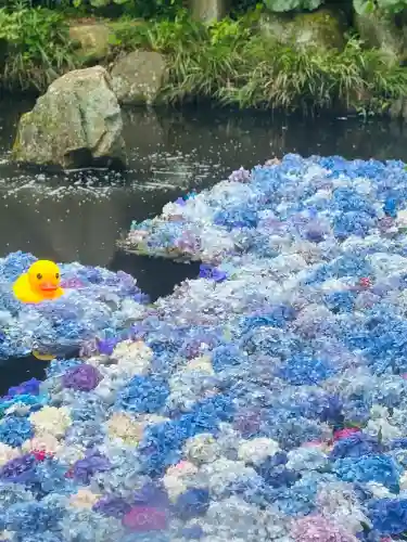 楽法寺（雨引観音）の{uncategorized: "未分類", other: "その他", undefined: "問題あり", building: "その他建物", grave: "お墓", sacred_gate: "鳥居", guardian: "狛犬", statue: "像", buddha: "仏像", history: "歴史", nature: "自然", garden: "庭園", animal: "動物", pagoda: "塔", temizu: "手水舎", mountain_gate: "山門・神門", sanctuary: "本殿・本堂", subordinate: "末社・摂社", art: "芸術", scenery: "景色", jizo: "地蔵", ema: "絵馬", goshuin: "御朱印", omikuji: "おみくじ", items: "授与品その他", amulet: "お守り", goshuincho: "御朱印帳", eats: "食事", festival: "お祭り", votive_dance: "神楽", shichigosan: "七五三参", wedding: "結婚式", experience: "体験その他", initially: "初詣", around: "周辺", anti_infection: "感染症対策"}