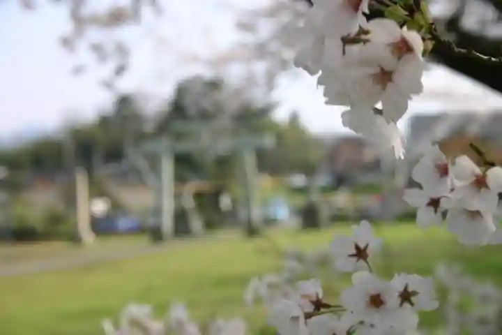 琵琶神社の自然