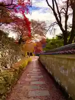 善峯寺(京都府)