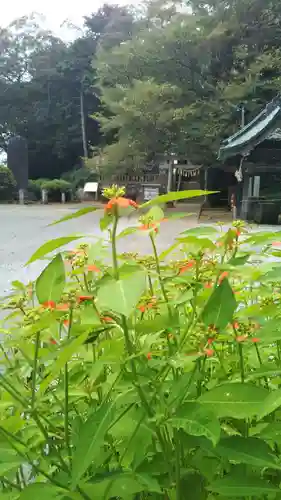 前玉神社の自然