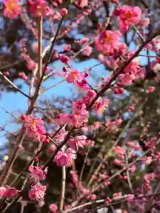 崇道天皇社(奈良県)(2026年02月12日(木) 10時39分46秒投稿)