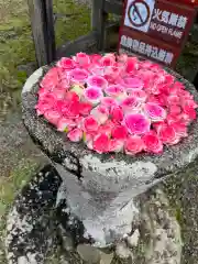 丹生都比売神社の手水