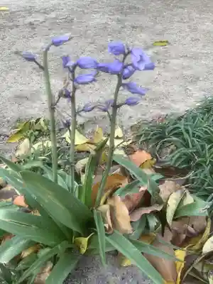 河原神社の自然