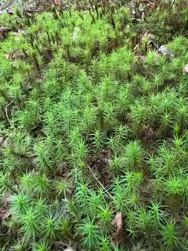 東福禅寺（東福寺）(京都府)