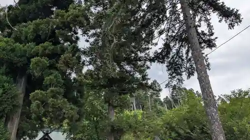 壮瞥神社(北海道)