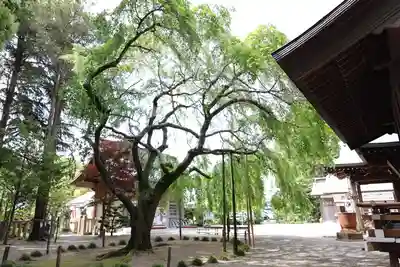 常陸第三宮 吉田神社(茨城県)