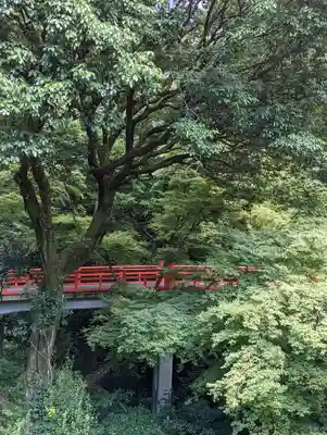 今熊野観音寺(京都府)