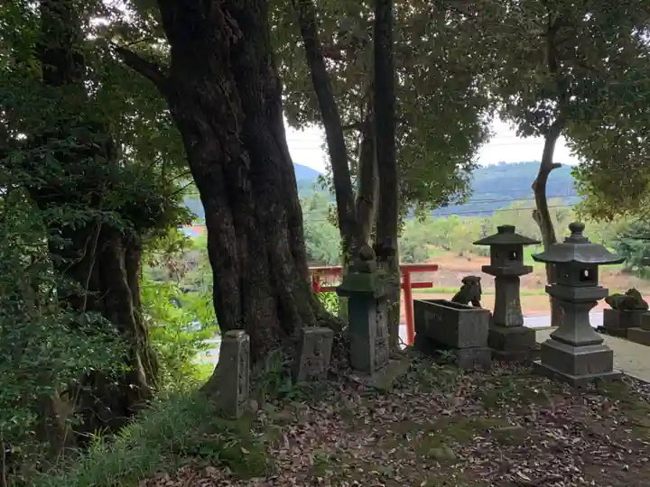 嚴嶋神社の景色