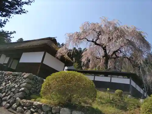 安楽寺の山門