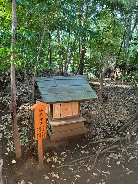 川越氷川神社(埼玉県)