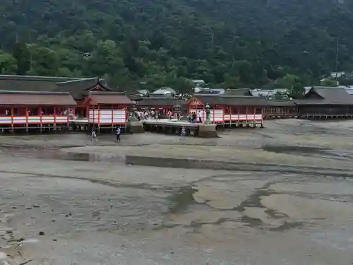 厳島神社の景色