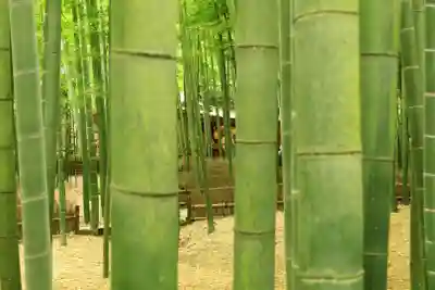 報国寺(神奈川県)