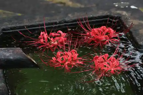 国宝 大法寺の手水舎