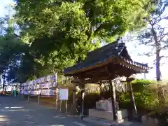 常陸國總社宮の手水