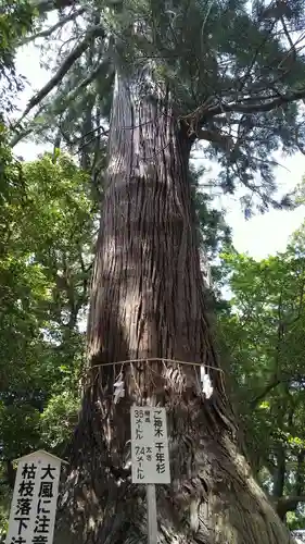 側高神社の庭園