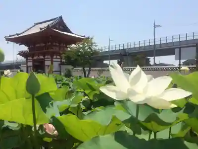 喜光寺(奈良県)