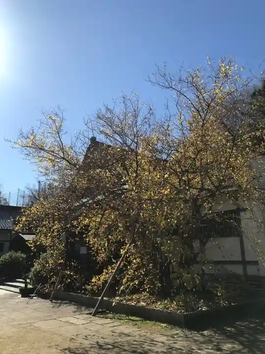 横浜 西方寺のその他建物