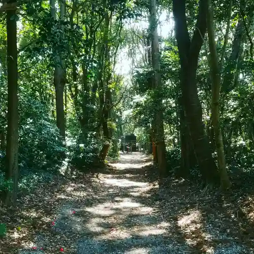 沼尾神社の自然