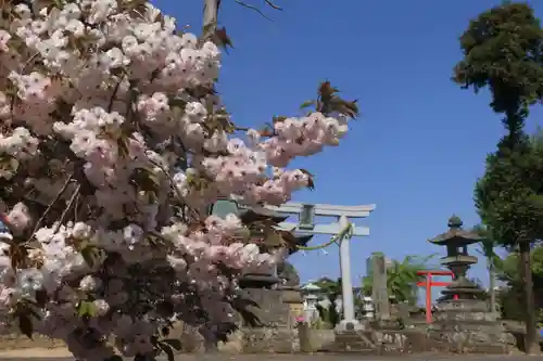 熊野福藏神社の景色