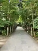 來宮神社(静岡県)