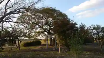 相野谷八幡神社(茨城県)