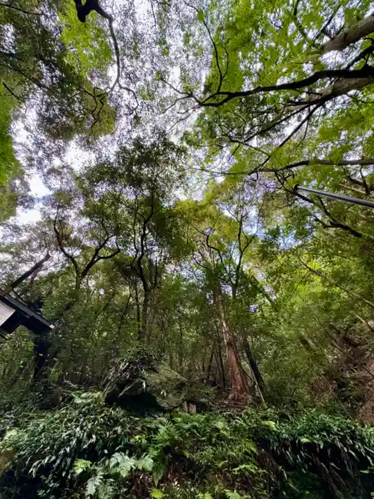 多度大社(三重県)