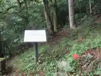 東郷神社(埼玉県)