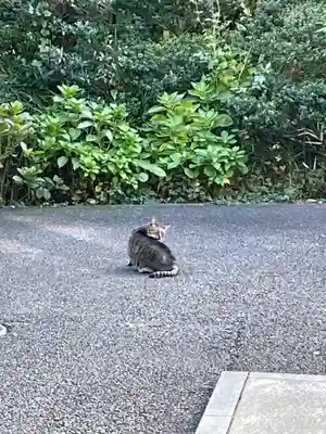 白金氷川神社(東京都)