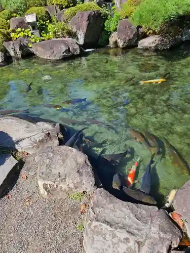 甲斐善光寺の庭園