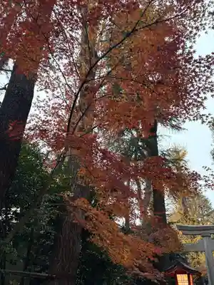 馬橋稲荷神社(東京都)