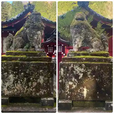 箱根神社の狛犬