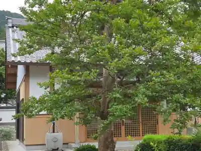 西光寺(滋賀県)