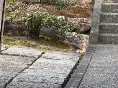 西方山極楽寺(岐阜県)