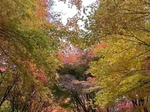 山神社(長野県)