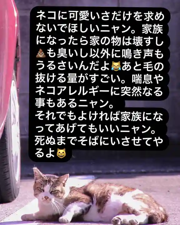 専念寺(大阪府)