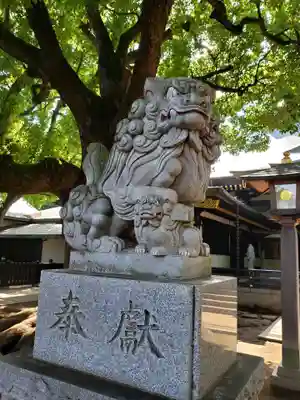 穴八幡宮の狛犬