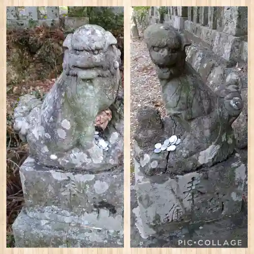 朝倉神社の狛犬