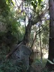 山王神社の建物その他